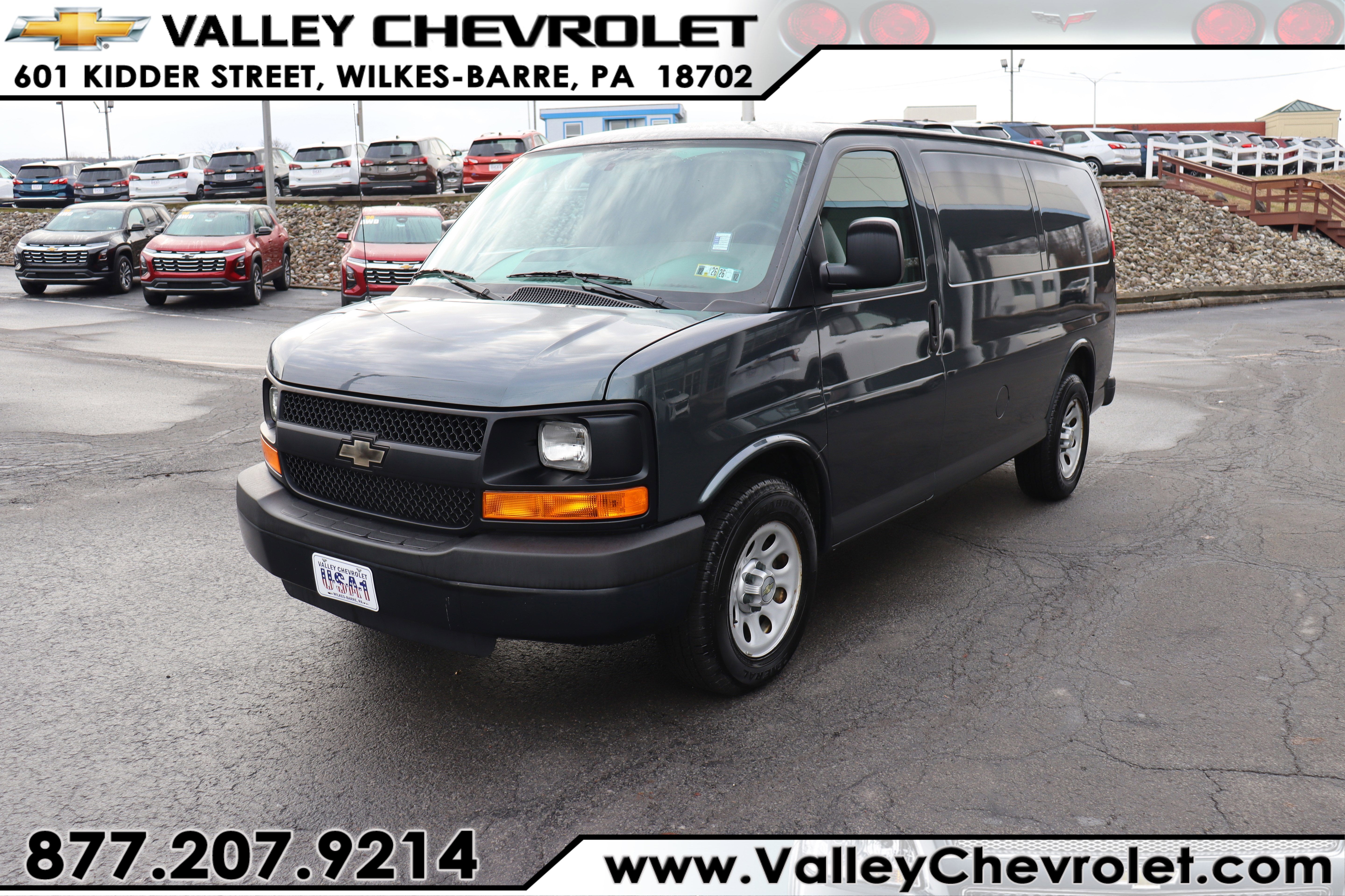 2014 Chevrolet Express Cargo 1500 CARGO
